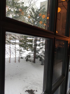 IMG_20250303_073119172.jpg
