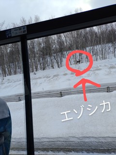 IMG_20250303_140641851~2.jpg
