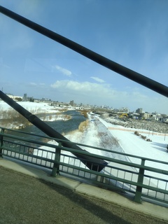 IMG_20250313_082339066.jpg