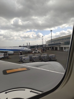 IMG_20250313_122139469.jpg