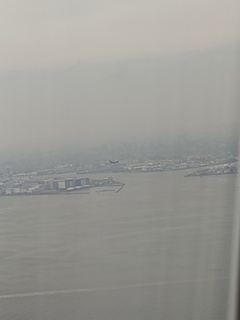 IMG_20250313_135403051.jpg