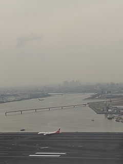 IMG_20250313_135516508.jpg