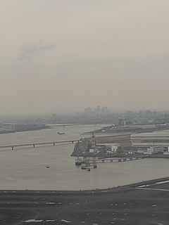 IMG_20250313_135521006.jpg