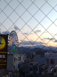IMG_20250401_180229614.jpg