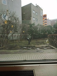 IMG_20250403_064454756.jpg
