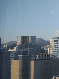 IMG_20250409_055214723.jpg