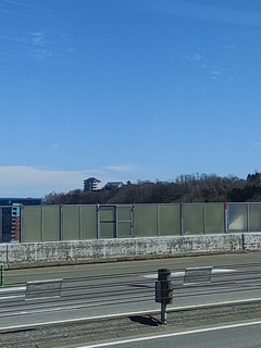 IMG_20250417_113456156.jpg