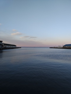 IMG_20250417_181157759.jpg