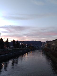IMG_20250417_182850590.jpg