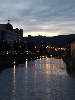 IMG_20250417_183904009.jpg