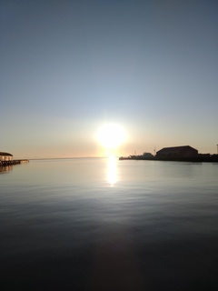 IMG_20250418_052147866.jpg