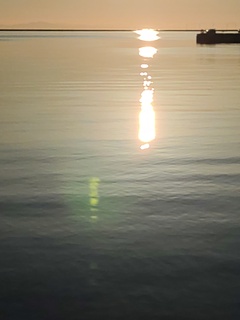 IMG_20250418_052425241.jpg
