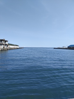 IMG_20250418_110919652.jpg