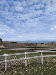 IMG_20250424_115340187.jpg