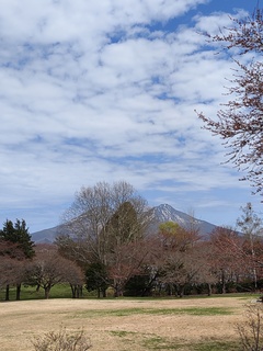IMG_20250424_130630718.jpg