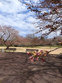 IMG_20250424_130736442.jpg