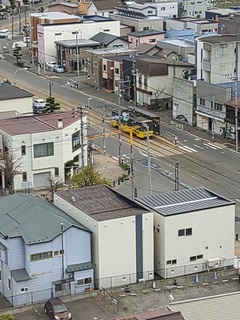 IMG_20250424_153332490.jpg