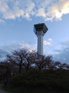 IMG_20250424_180455584.jpg