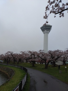 IMG_20250425_092149175.jpg