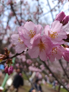 IMG_20250427_133316418.jpg