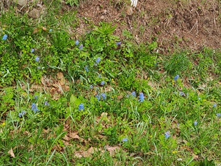 IMG_20250427_140536549.jpg
