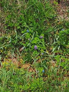 IMG_20250427_140601506.jpg