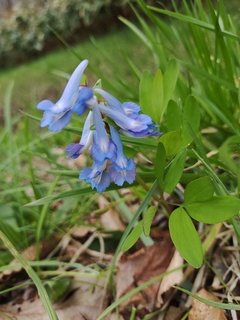 IMG_20250427_140734328.jpg
