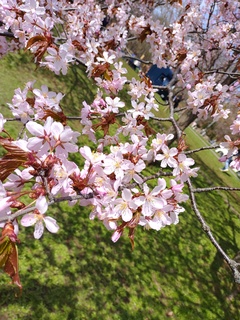 IMG_20250428_095538068.jpg