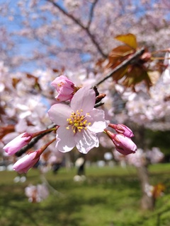 IMG_20250428_095618777.jpg