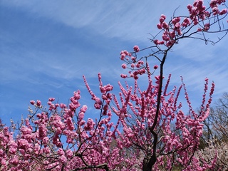 IMG_20250428_100557354.jpg