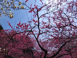 IMG_20250428_101322025.jpg