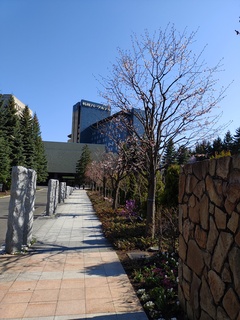 IMG_20250430_144835029.jpg