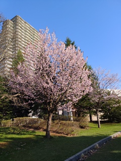 IMG_20250430_160051014.jpg
