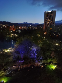 IMG_20250430_191052566.jpg