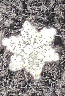 Screenshot_20250111-112039.png