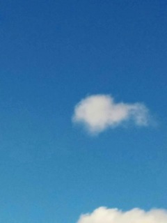 image-f6969.jpg