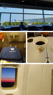 20250710_105027-COLLAGE.jpg
