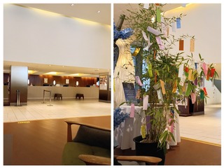 20250716_004336-COLLAGE-77bf6.jpg