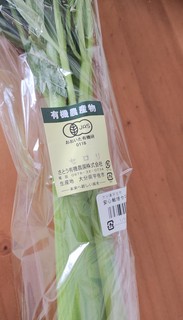 IMG_20250117_092444103.jpg