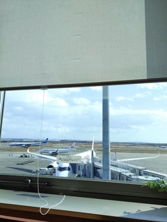IMG_20250313_103554240.jpg