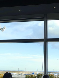 IMG_20250319_161708704.jpg