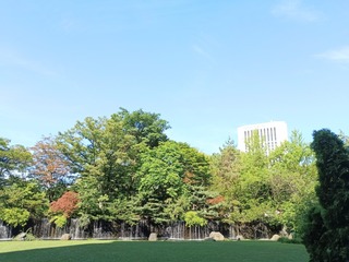 IMG_20250714_081448_1-00aef.jpg